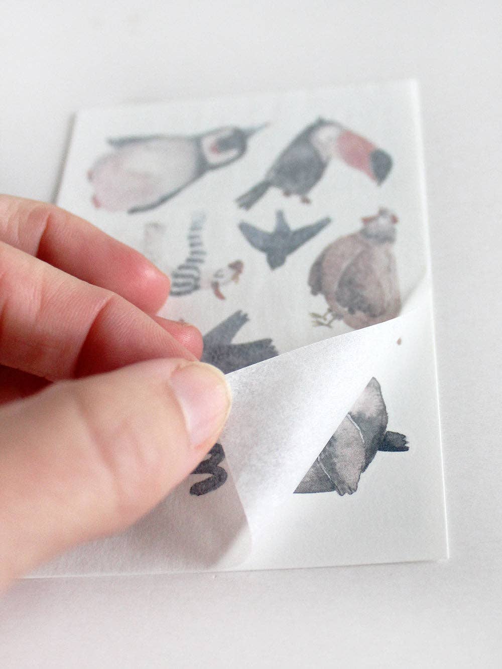 Tattoos "schräge Vögel", Pocket Edition