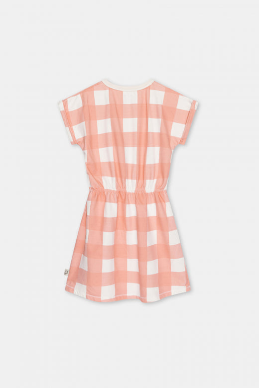 Fleece gingham dress