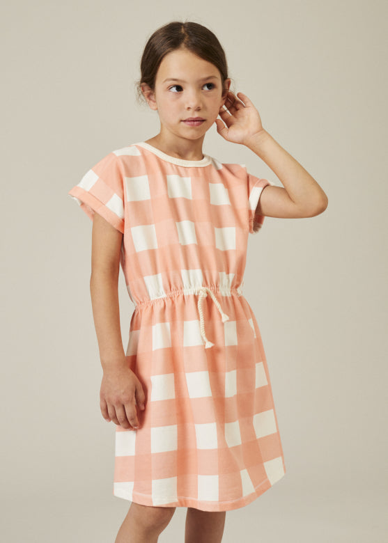 Fleece gingham dress