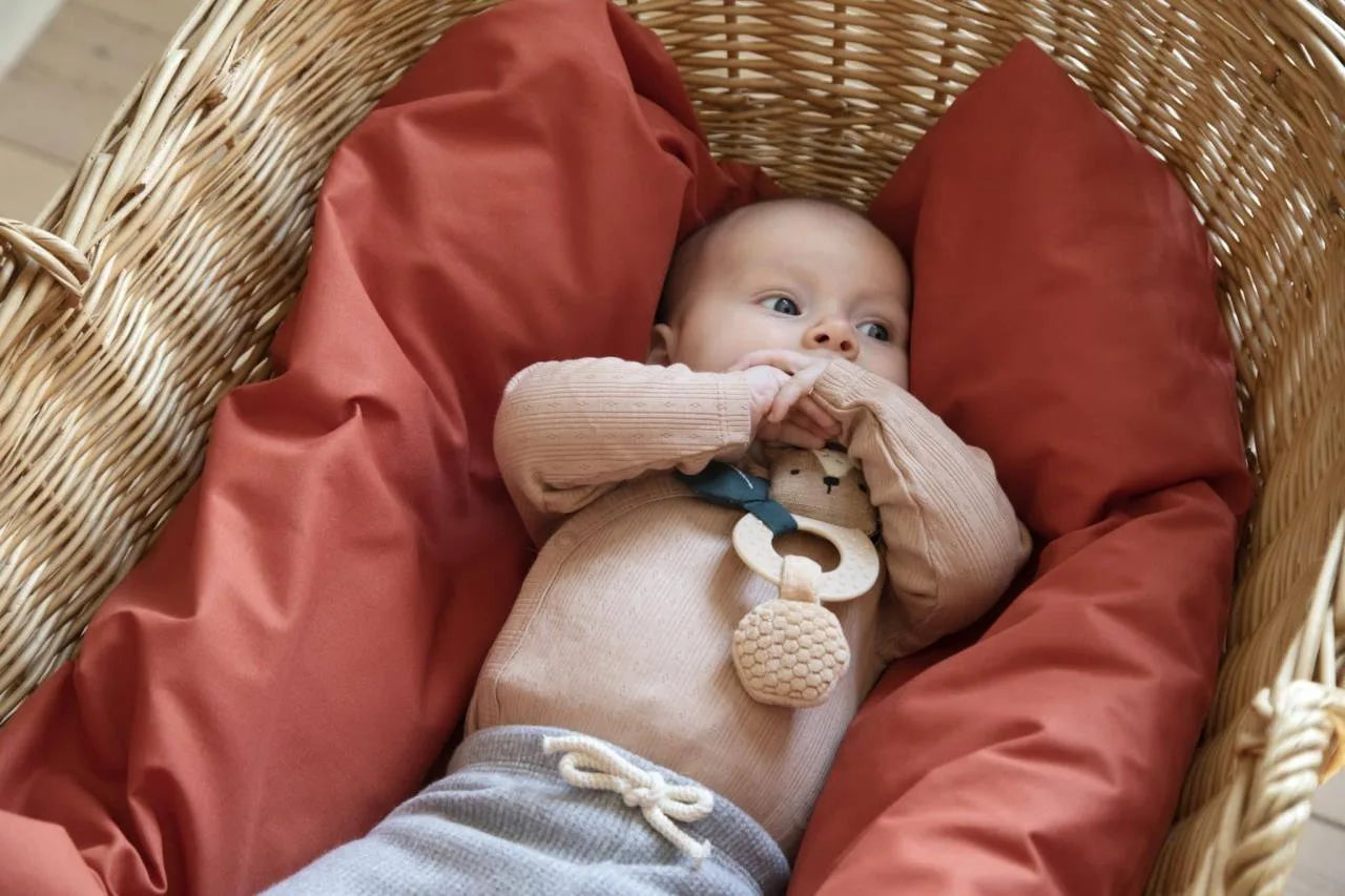 Baby hält die Aktivitätsrassel Milo der Bär von Sebra in den Händen. Bärechind Winterthur Zürich Schweiz.