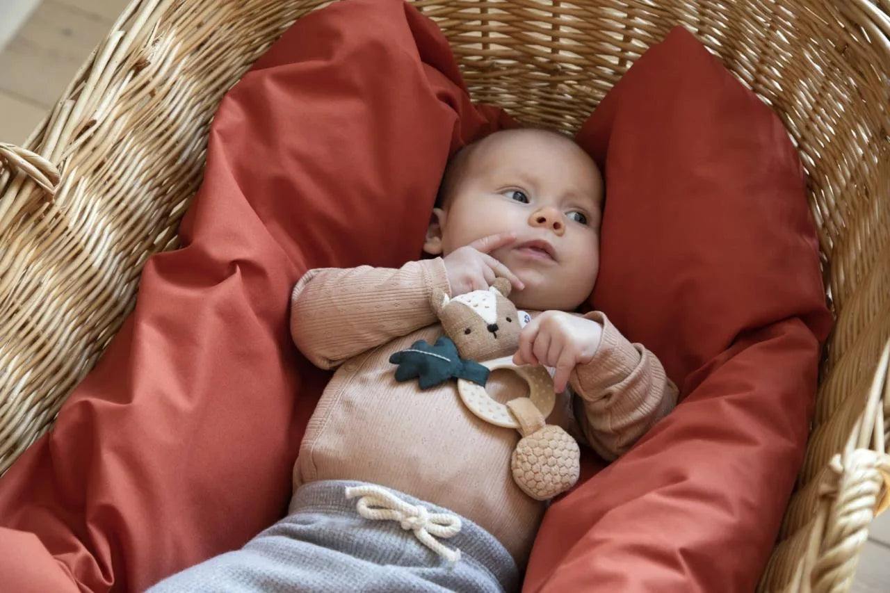 Baby liegt im Körbchen mit der Sebra Aktivitätsrassel Milo der Bär. Bärechind Winterthur Zürich Schweiz.