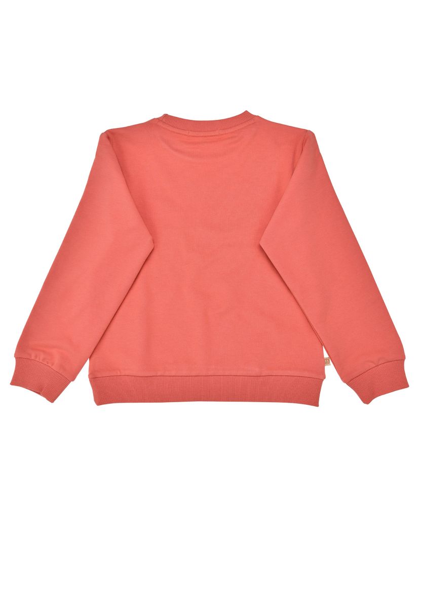 Rückseite des Bondi Baumwoll Sweatshirts in Terra bei Bärechind Winterthur Zürich Schweiz