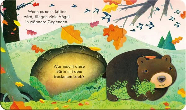 Illustration aus Guck mal wer da ist Im Herbst von Anna Milbourne, ein Bär hält Winterschlaf in seiner Höhle im herbstlichen Wald