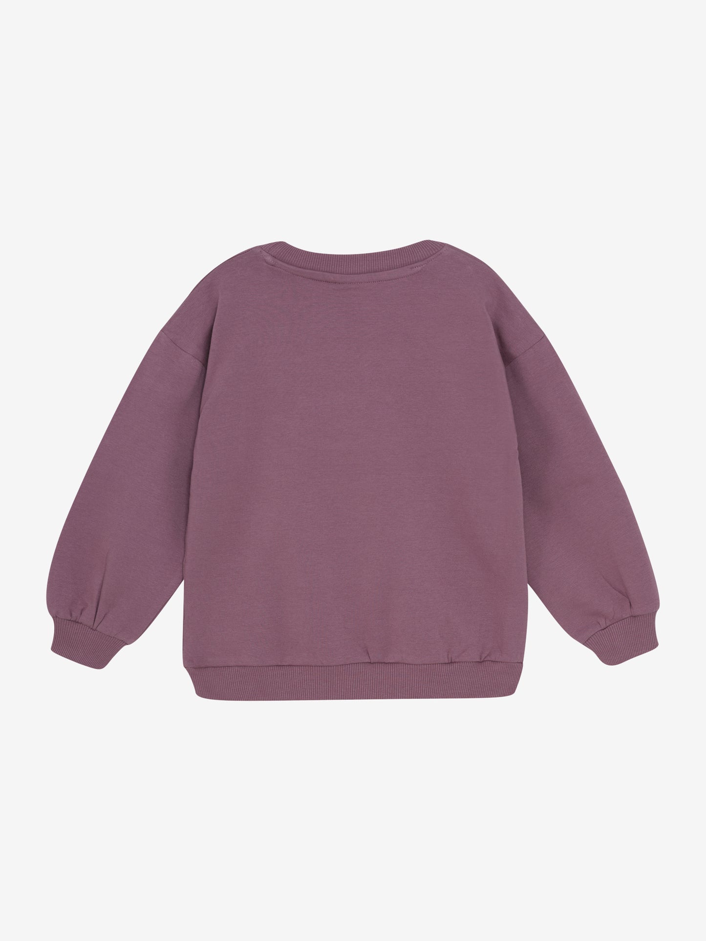 MINYMO Sweatshirt mit Schwan aus Bio-Baumwolle bei Bärechind in Winterthur, Zürich, Schweiz erhältlich.