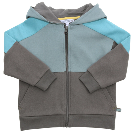 Hoodie Sweatjacke Colourblocking, moss-pistachio