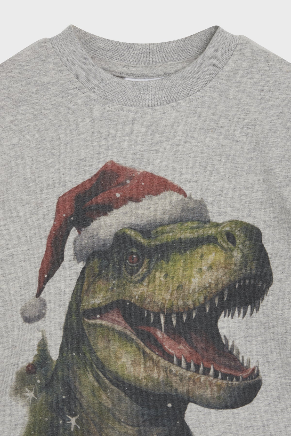 T-Shirt Anton, T-Rex Santa