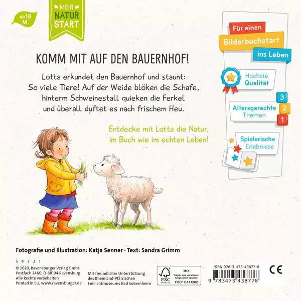 Rückseite des Buchs mit Produktbeschreibung und Details