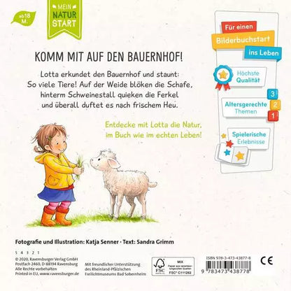 Rückseite des Buchs mit Produktbeschreibung und Details