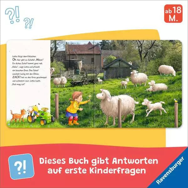 Innenseite mit Schafen auf der Weide und dem Bauernhof im Hintergrund