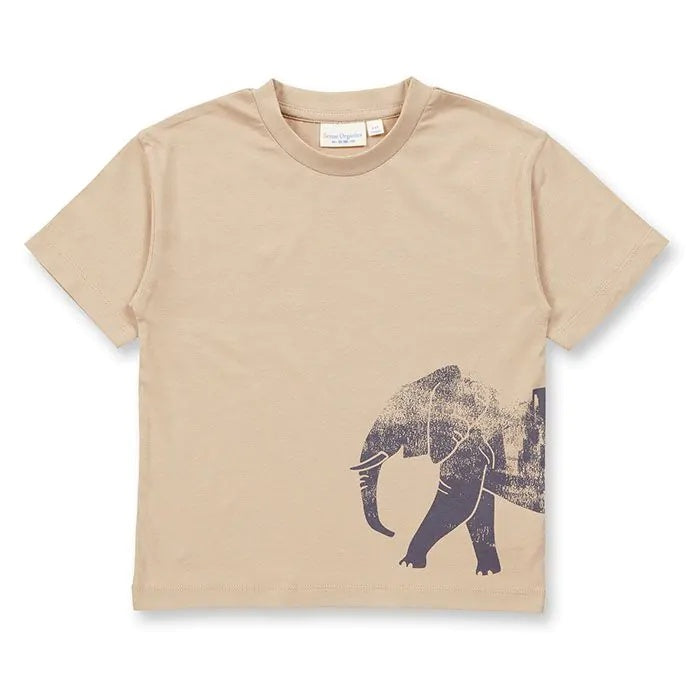 Anton Shirt, Safari