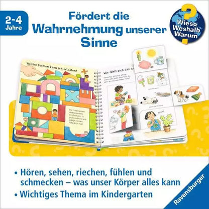 Innenansicht Kinderbuch Sehen, riechen, hören mit Klappen zur Wahrnehmung unserer Sinne im Bärechind Winterthur Zürich Schweiz.