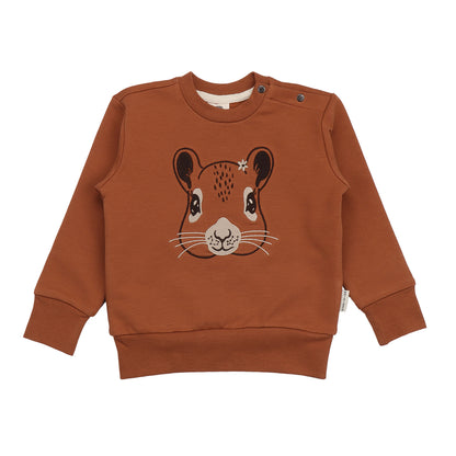 Brauner Kinder-Sweater mit Eichhörnchen-Gesicht aus Bio-Baumwolle von WALKIDDY – erhältlich bei Bärechind in Winterthur, Zürich, Schweiz.