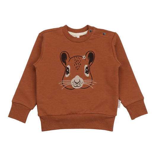 Brauner Kinder-Sweater mit Eichhörnchen-Gesicht aus Bio-Baumwolle von WALKIDDY – erhältlich bei Bärechind in Winterthur, Zürich, Schweiz.