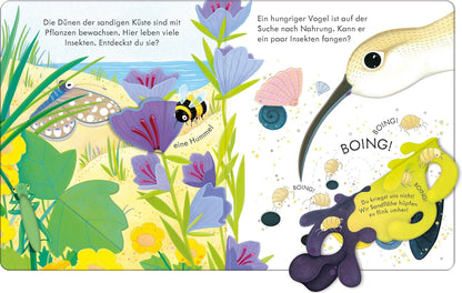 „Kinderbuch Küste Innenseite mit Klappen und Pflanzen sowie Tieren am Meer“