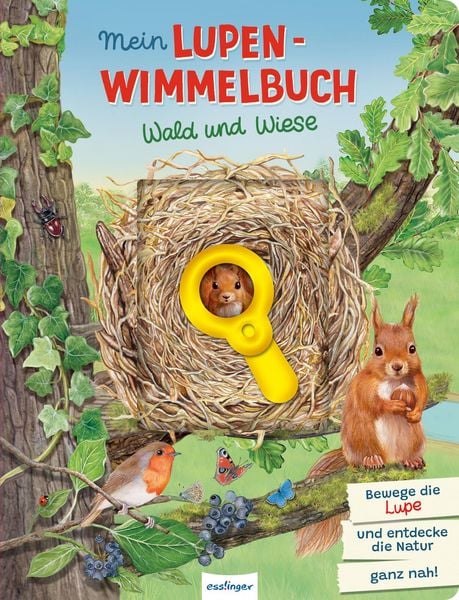 „Lupen Wimmelbuch Wald und Wiese – Kinderbuch mit Lupe und Tieren im Wald bei Bärechind Winterthur“