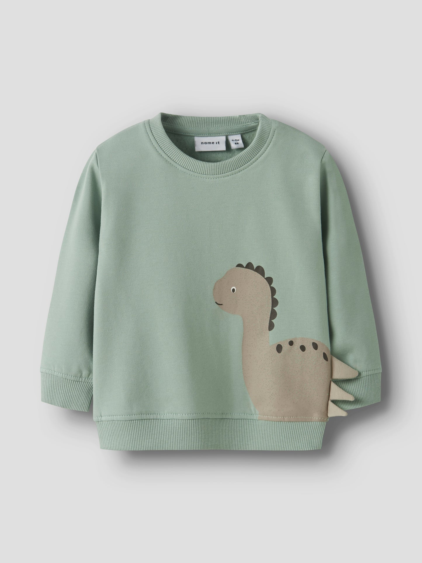 Mintgrünes weich gefüttertes Baumwoll-Sweatshirt mit beigem Dino-Motiv für Kinder, Vorderansicht – Bärechind, Winterthur, Zürich Schweiz.