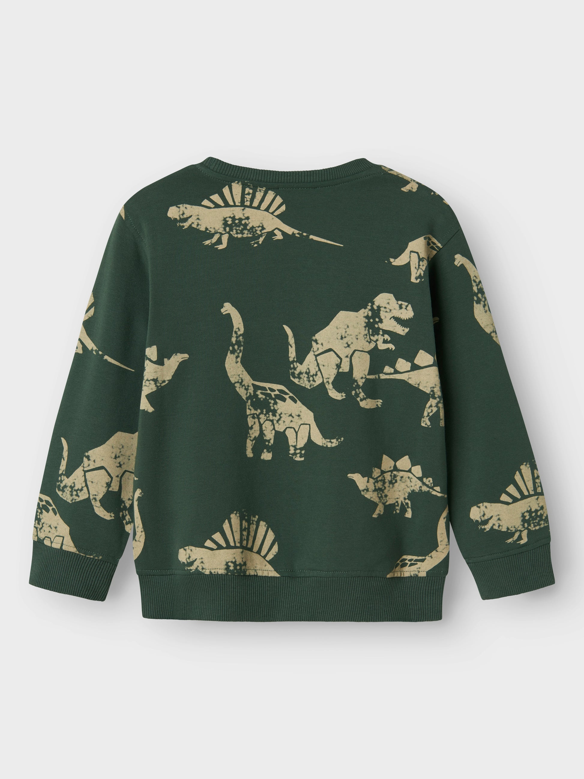 Grüner Bio-Baumwoll Sweater mit Dinosaurier-Print für Kinder, Rückansicht – Bärechind, Winterthur, Zürich Schweiz.