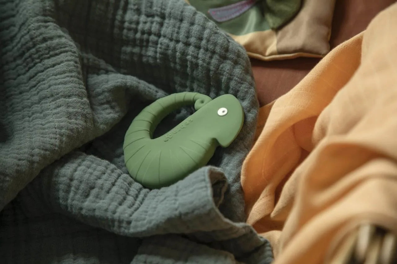 Beissring Naturkautschuklatex, Carley das Chamäleon