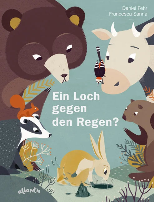 Bilderbuch Ein Loch gegen den Regen von Daniel Fehr und Francesca Sanna, erhältlich bei Bärechind