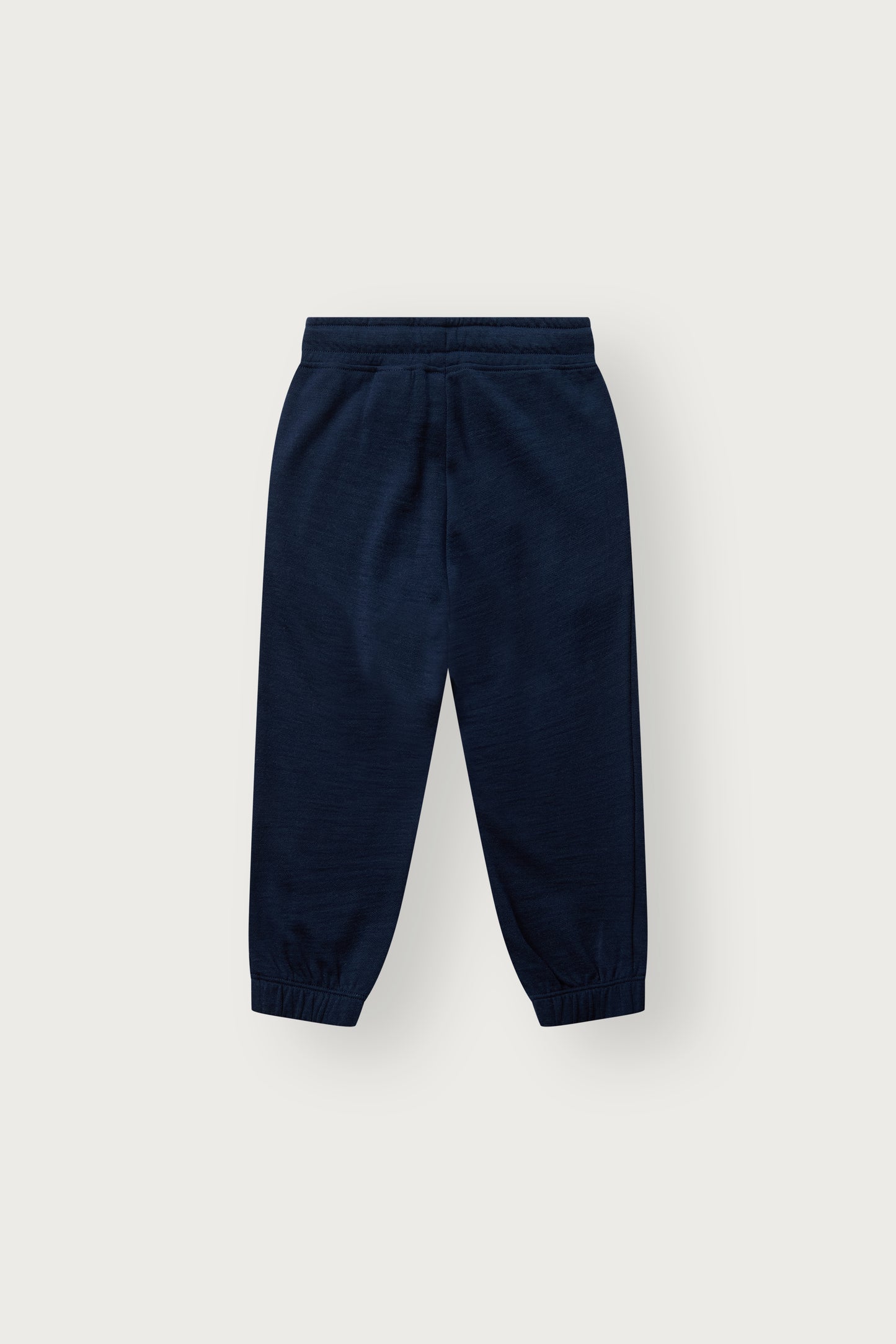 Rückansicht der Galon Trainerhose im Lockerschnitt, Blues