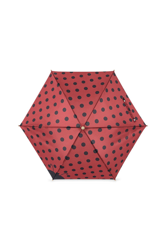 Marienkäfer-Regenschirm zusammengefaltet mit auffälligem Punktemuster