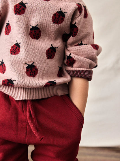 Kind trägt Lil'Atelier Pullover mit Marienkäfer-Muster aus Bio-Baumwolle bei Bärechind in Winterthur, Zürich, Schweiz.