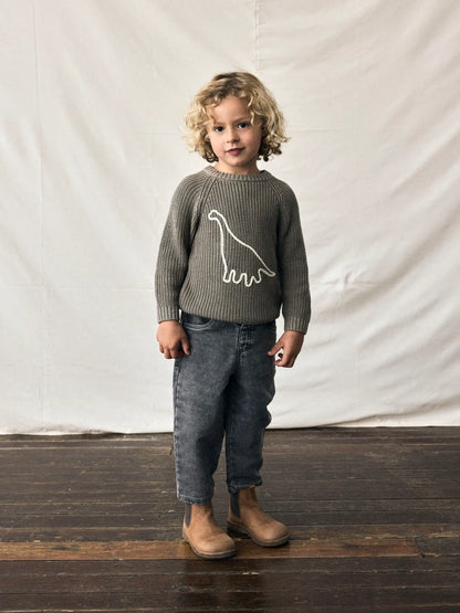 Kind trägt Lil'Atelier Pullover mit Dinosaurier-Motiv aus Bio-Baumwolle bei Bärechind in Winterthur, Zürich, Schweiz.