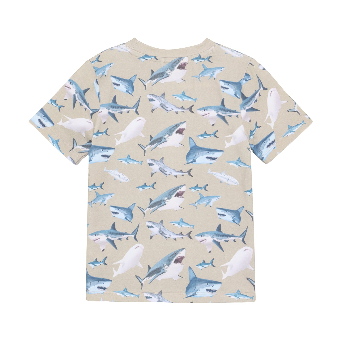 Rückansicht Minymo Kinder T-Shirt mit Hai Muster, nachhaltige Kindermode im Bärechind Winterthur Zürich Schweiz.