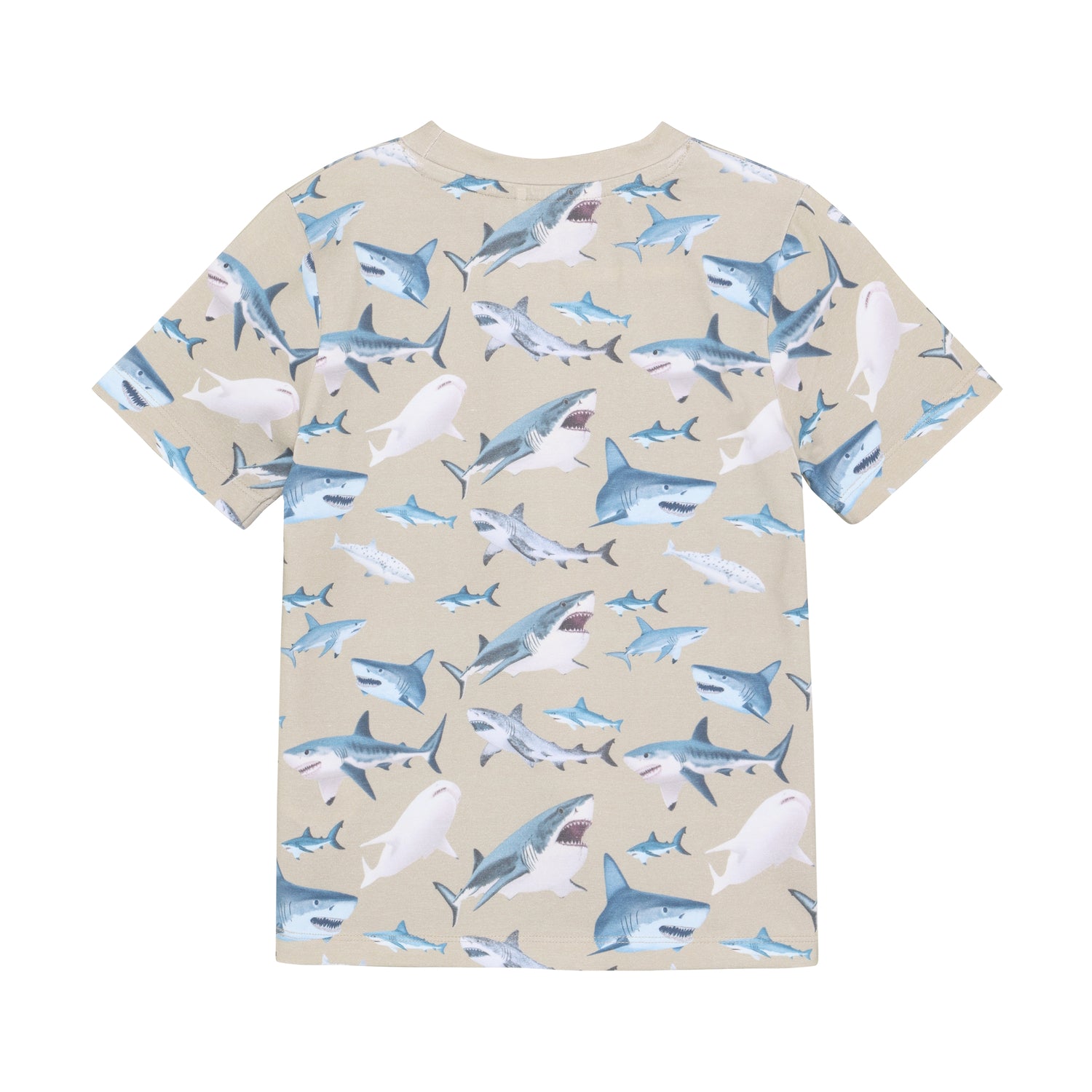 Rückansicht Minymo Kinder T-Shirt mit Hai Muster, nachhaltige Kindermode im Bärechind Winterthur Zürich Schweiz.