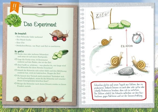 Naturforscher Kids Kinderbuch Innenseiten mit Natur Experimenten für Kindergarten Kinder Tiere Pflanzen entdecken.