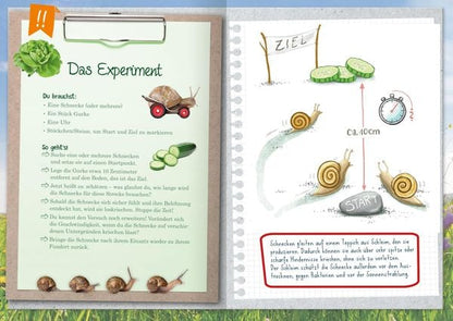 Naturforscher Kids Kinderbuch Innenseiten mit Natur Experimenten für Kindergarten Kinder Tiere Pflanzen entdecken.