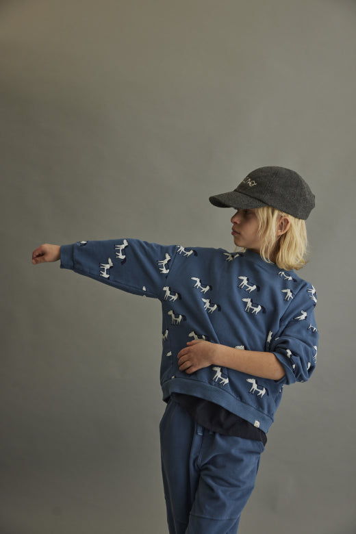 AXELK Pulli, Pferd