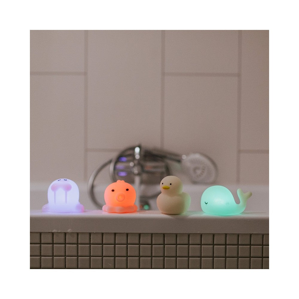 Farbwechselnde RGB LED Nachtlichter in Tierform für die Badewanne, erhältlich im Bärechind Winterthur Zürich Schweiz.