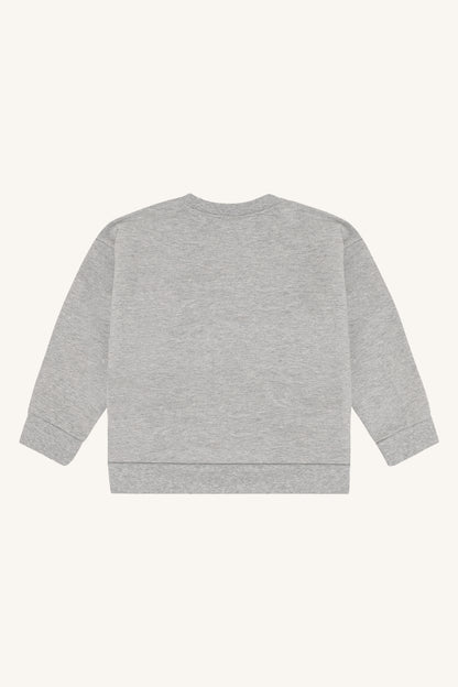 Sejer Sweatshirt aus weich angerauter Baumwolle, Rückansicht ohne Print