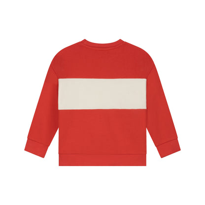 Sweatshirt in Rot aus weichem Sweatstoff, Rückansicht