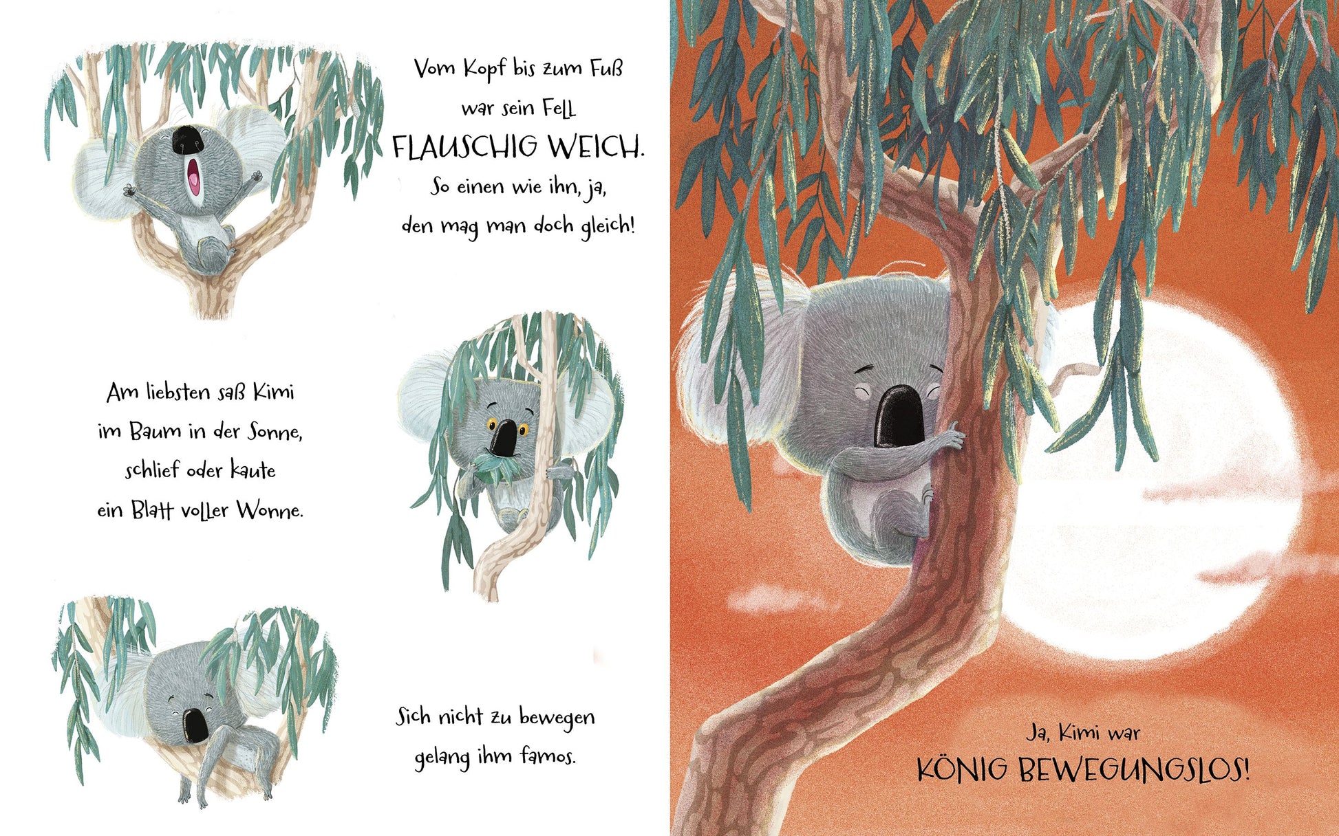Innenansicht aus dem Bilderbuch Trau dich, Koala Bär