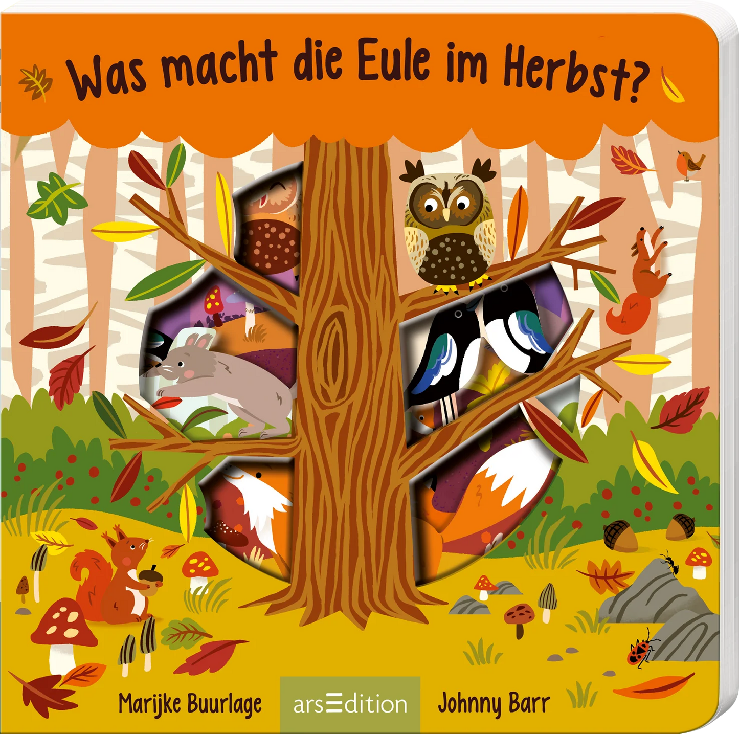 Was macht die Eule im Herbst, Pappbilderbuch mit Ausstanzungen von arsEdition bei Bärechind