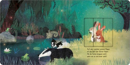 Illustration aus Wenn der Mond am Himmel steht, Waldtiere im nächtlichen Unterholz mit einem Schiebeelement zum Entdecken