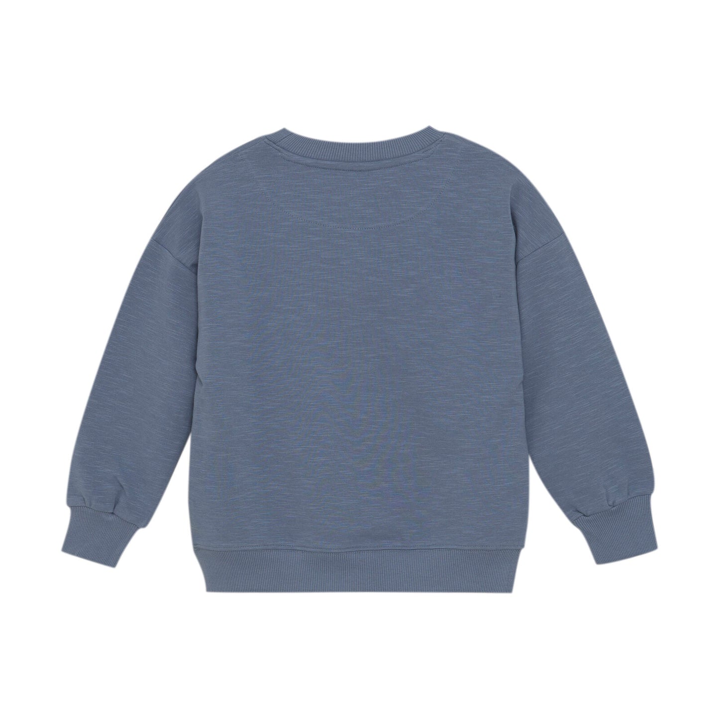 Sweatshirt Frosch, Flint Stone