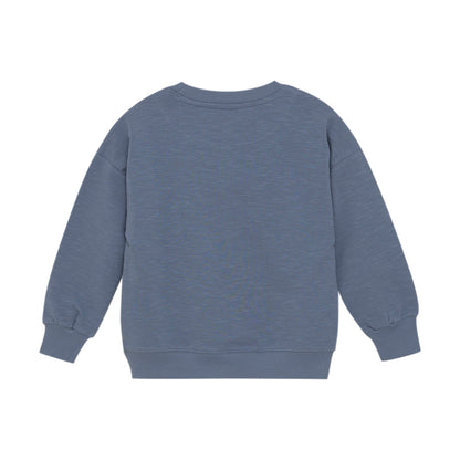 Sweatshirt Frosch, Flint Stone