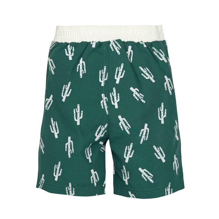 Splash Board Shorts Cactus green - 1